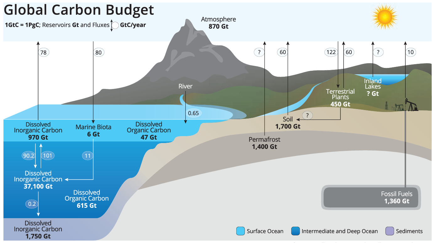 What Is Marine Carbon Dioxide Removal Pnnl